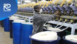 از مزرعه تا کارخانه؛ مسیر صنعتی شدن تدریجی کنیا